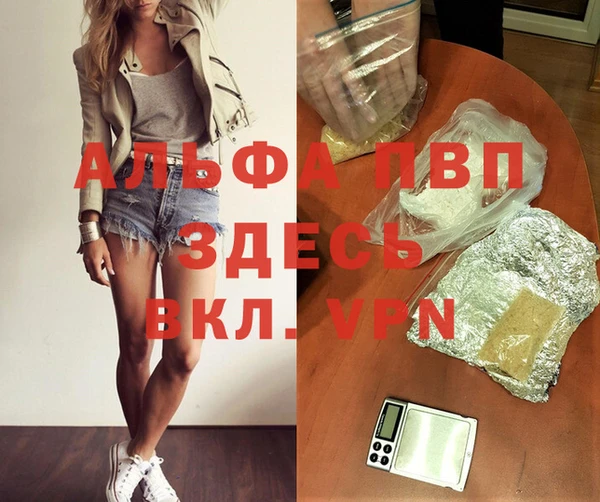 a pvp Алзамай