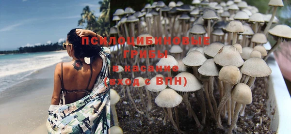 метадон Армянск