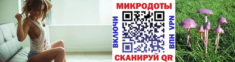 Галлюциногенные грибы мицелий  Пласт 